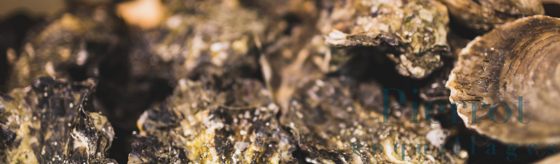 Restaurant coquillage ouvert dimanche