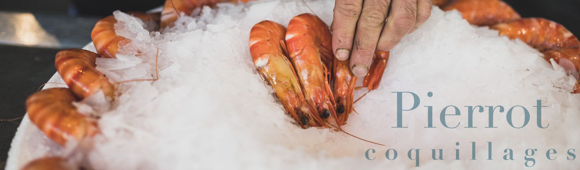 Restaurant coquillage