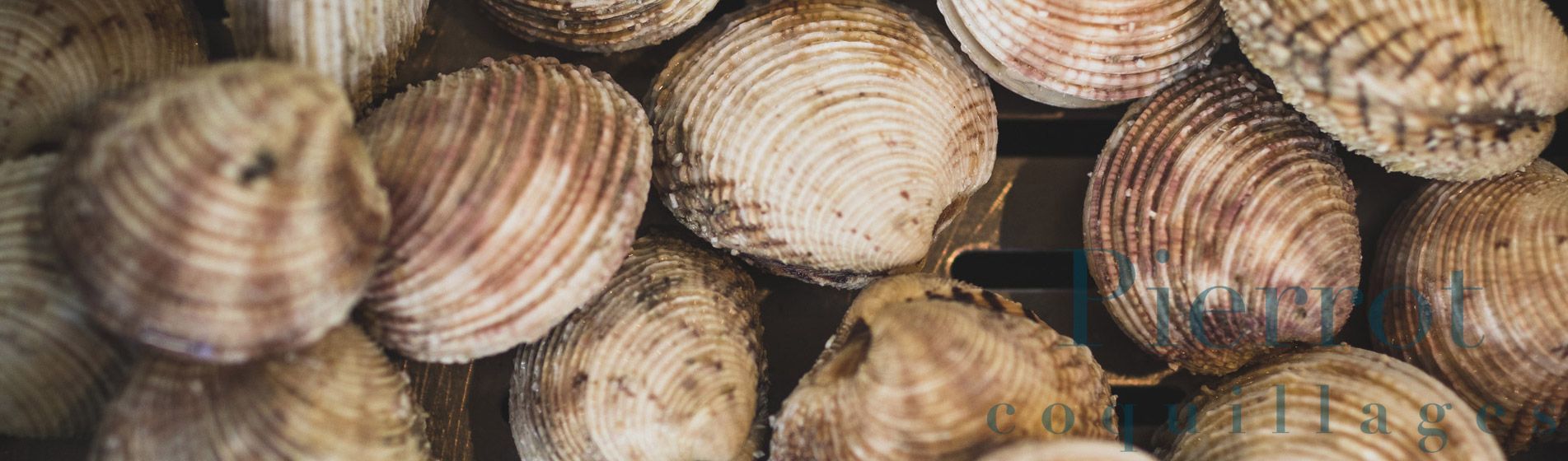 Degustation coquillage proximite