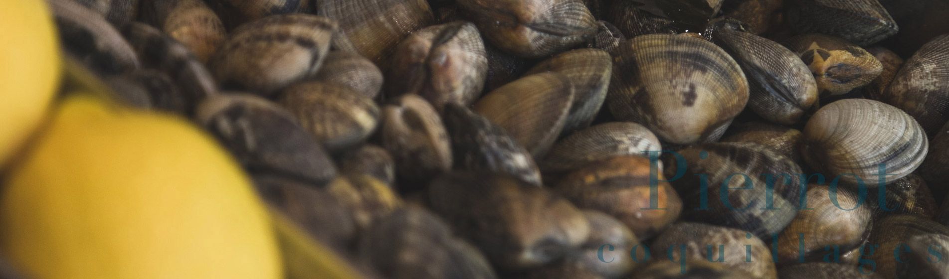 Bar coquillage ouvert dimanche