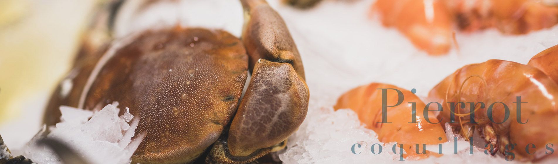 Degustation coquillage proximite