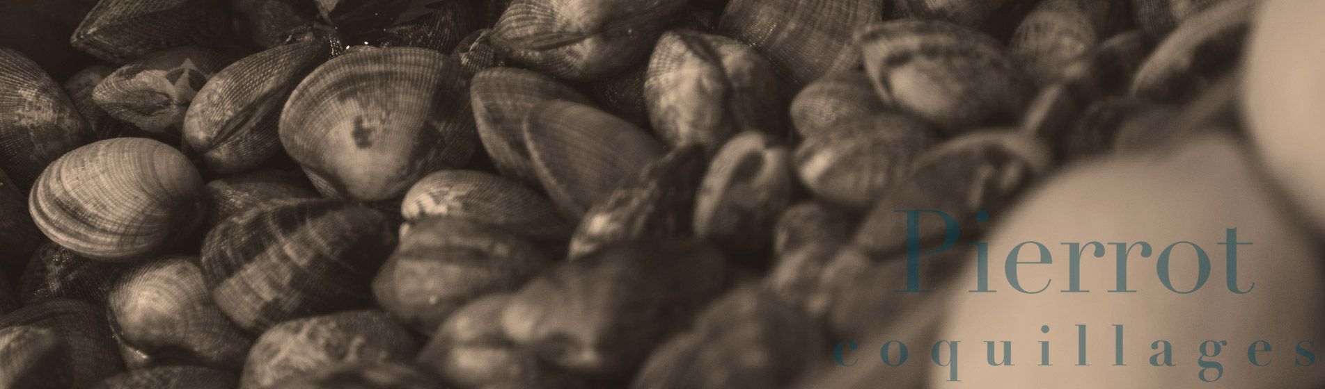 Crabe Auriol (13390)