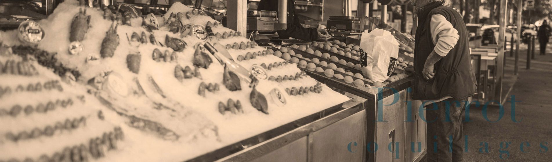 Crabe Gardanne (13120)