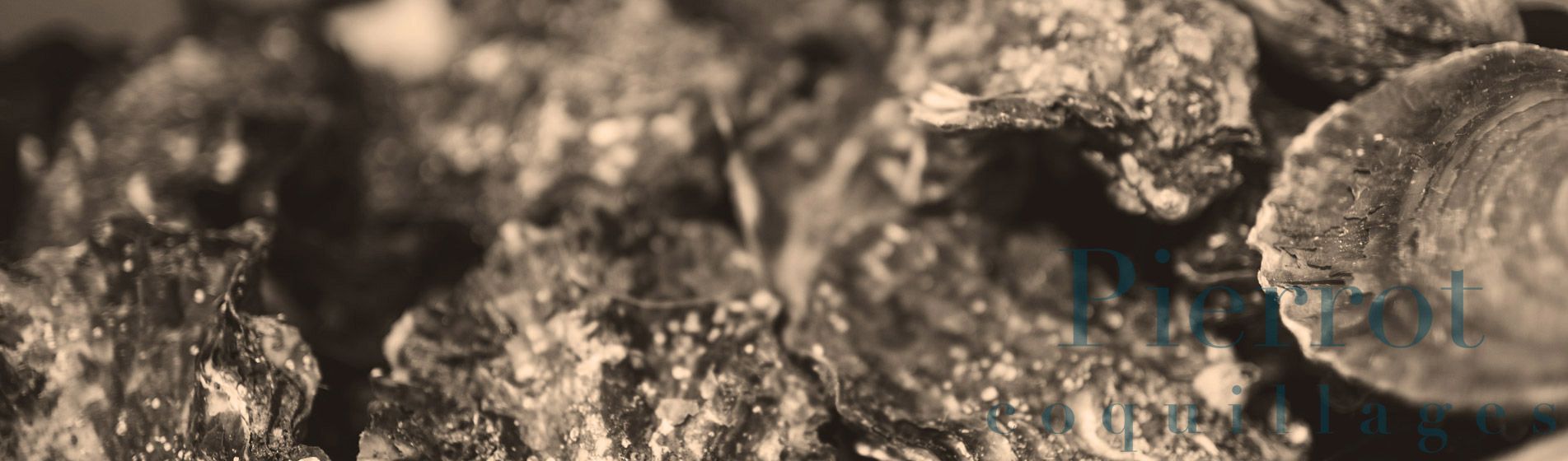 Crabe La Fare-Les-Oliviers (13580)