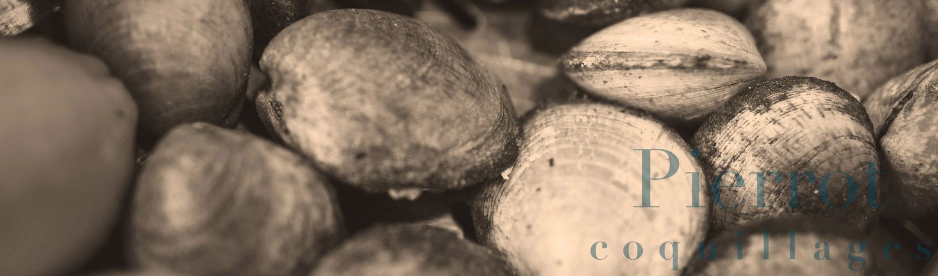 Deguster crabe royal