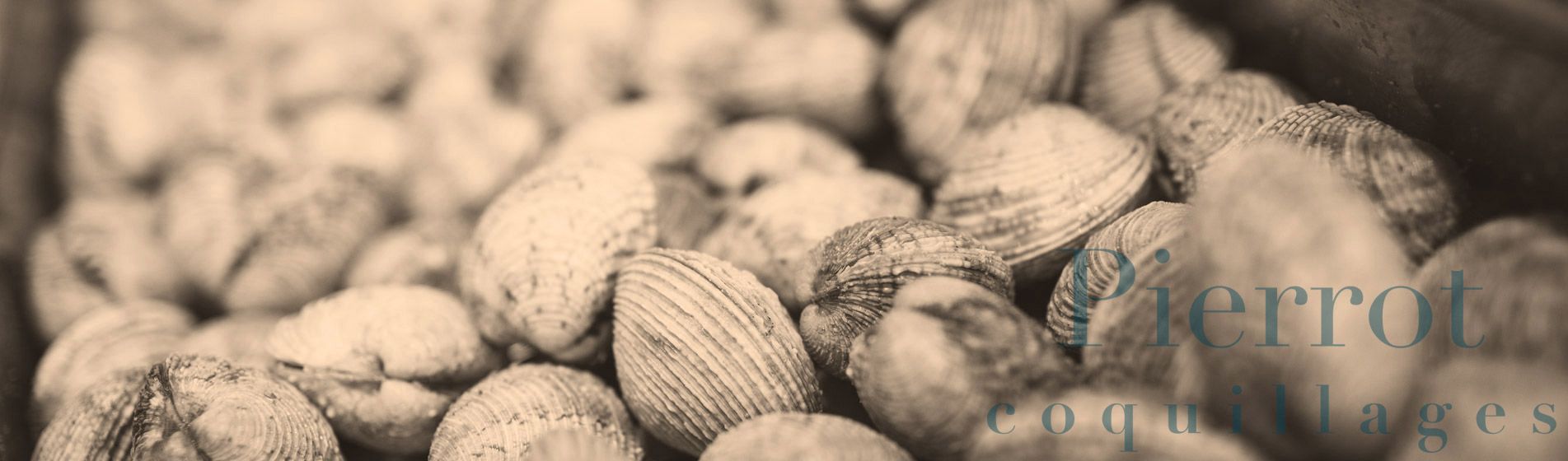 Crabe Martigues (13117)