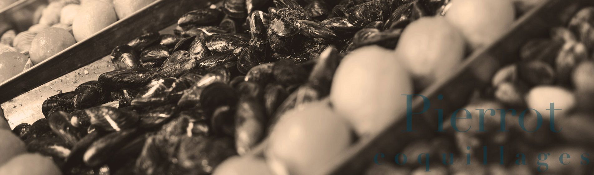 Deguster crabe royal