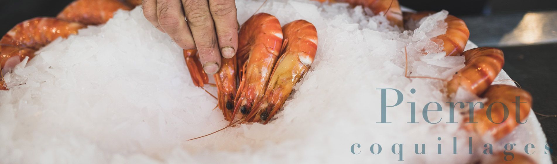 Crabe Ceyreste (13600)