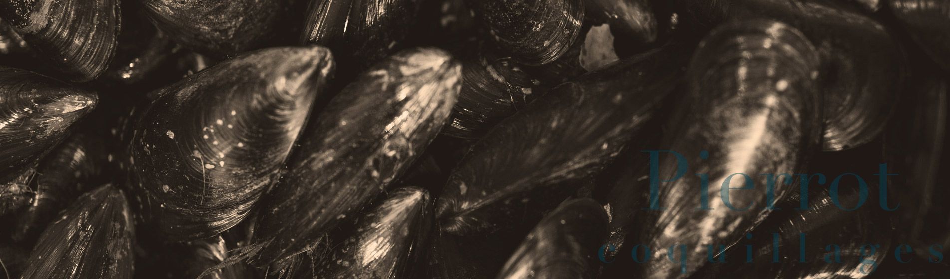 Crabe Le Tholonet (13100)