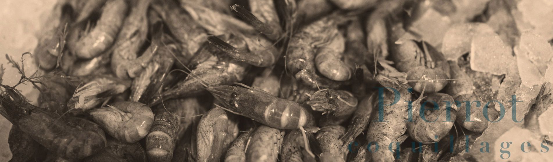 Deguster crabe royal