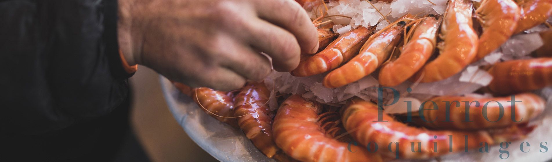 Crabe La Ciotat (13600)