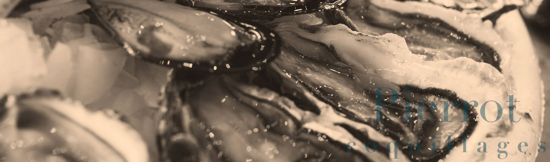 Deguster crabe royal