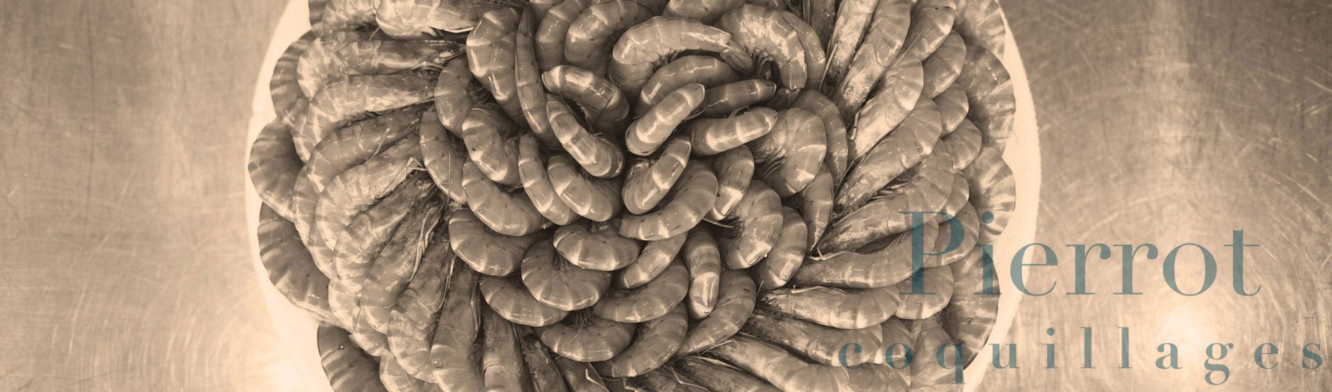 Crabe Vitrolles (13127)