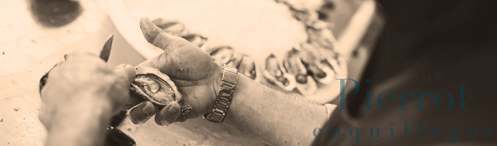 Deguster crabe royal