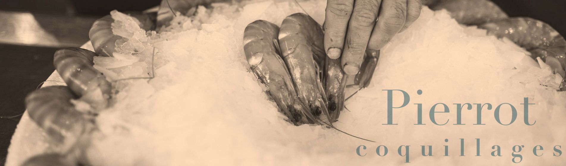 Deguster crabe royal