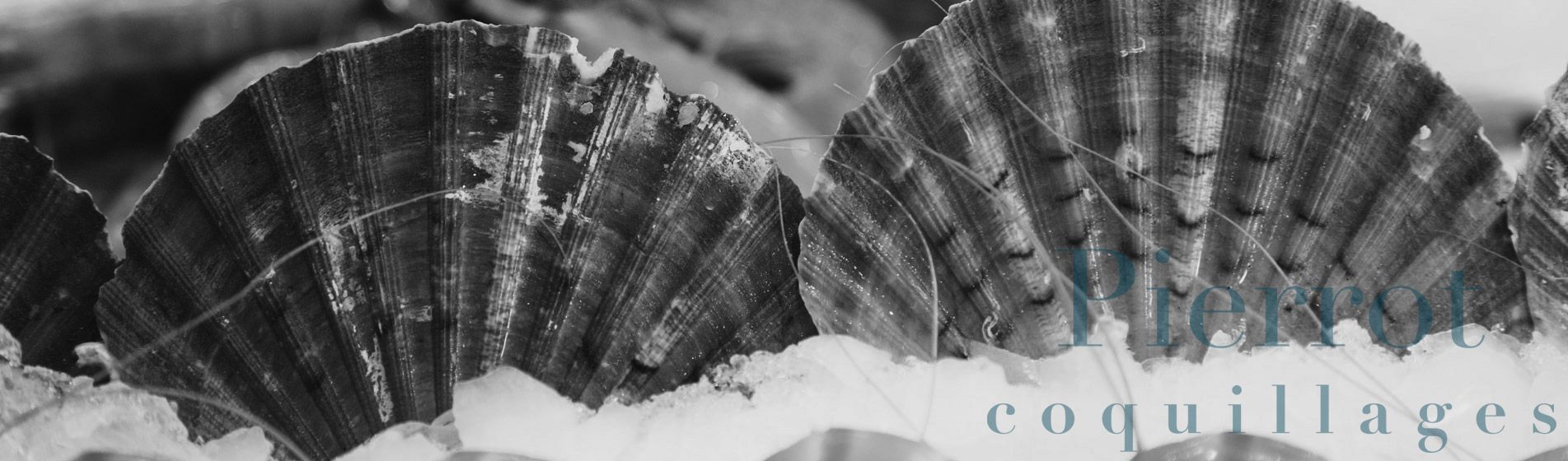 Crevette Gréasque (13850)