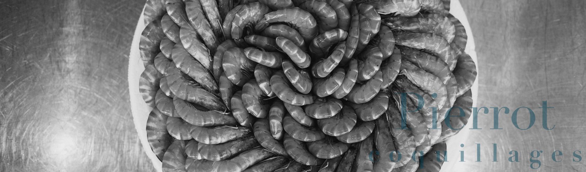 Crevette Roquefort-La-Bédoule (13830)