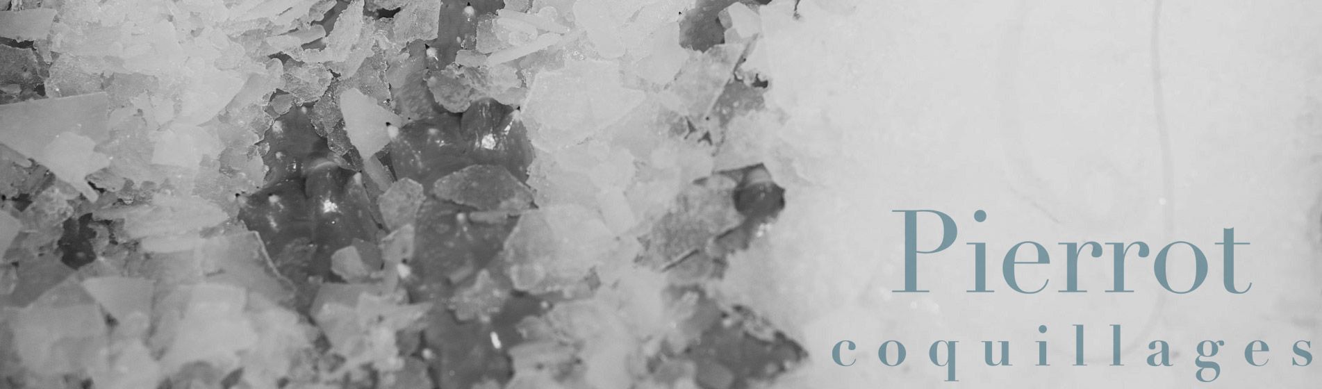 Crevette calibre 10/15 - 20/30 - 40/60