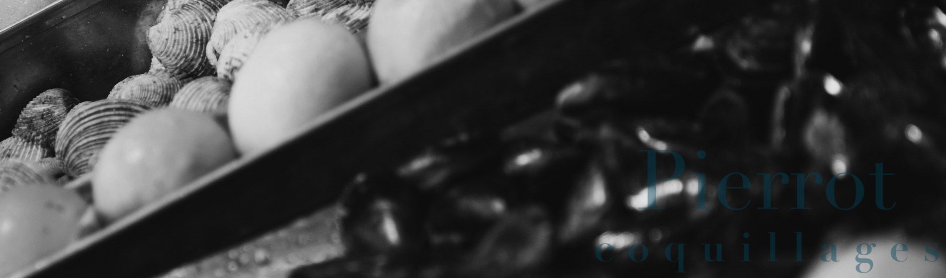 Crevette Simiane-Collongue (13109)