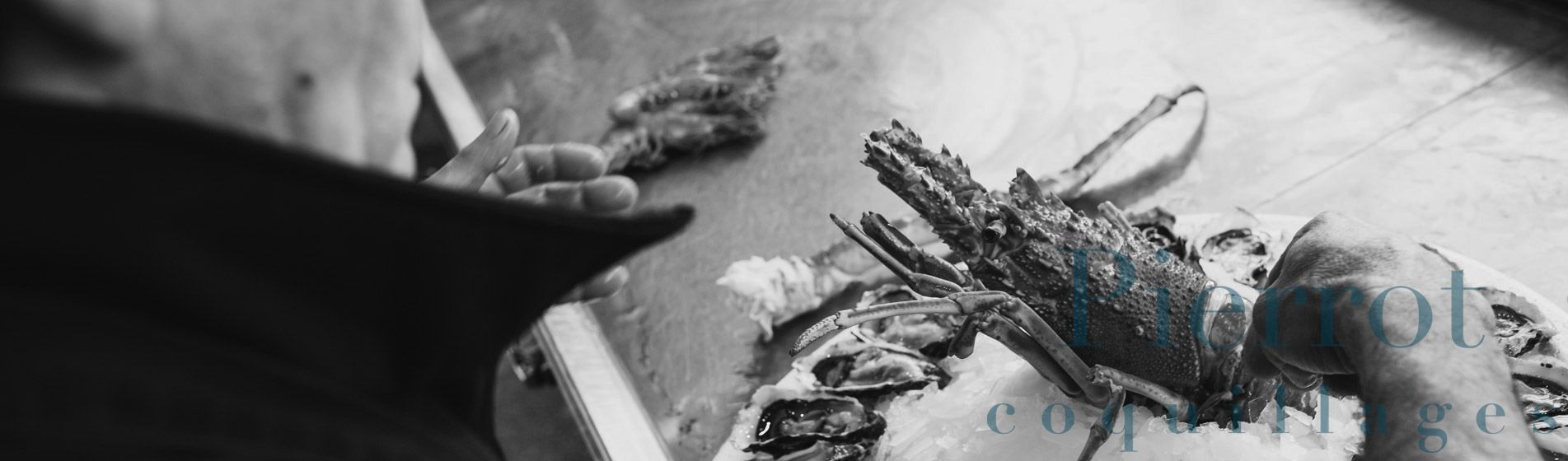 Crevette calibre 10/15 - 20/30 - 40/60