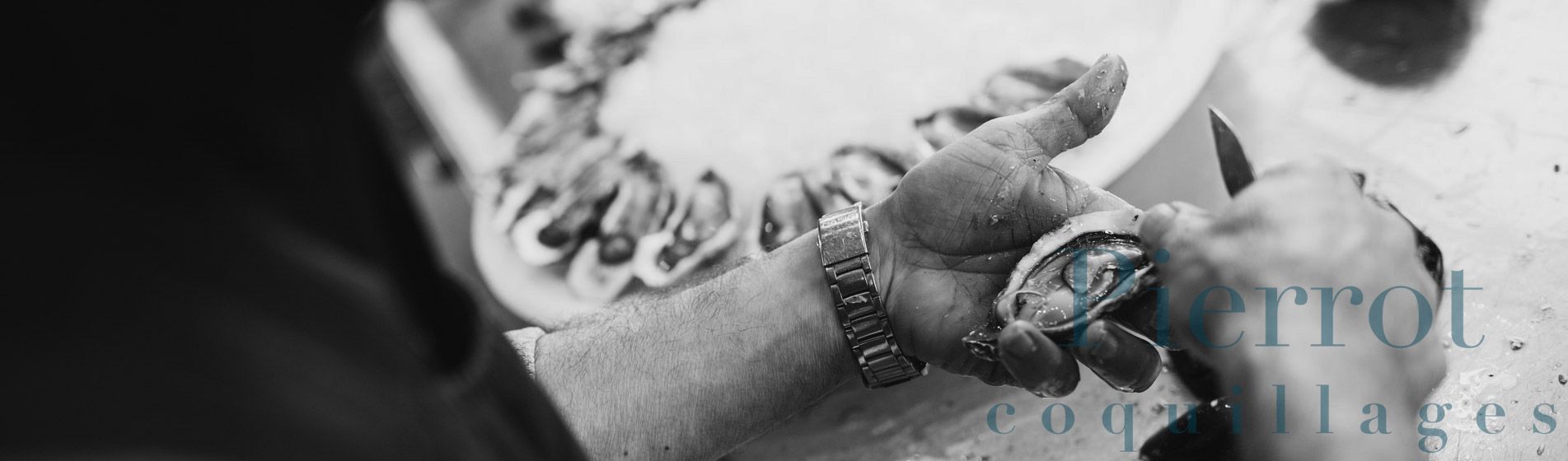 Crevette calibre 10/15 - 20/30 - 40/60