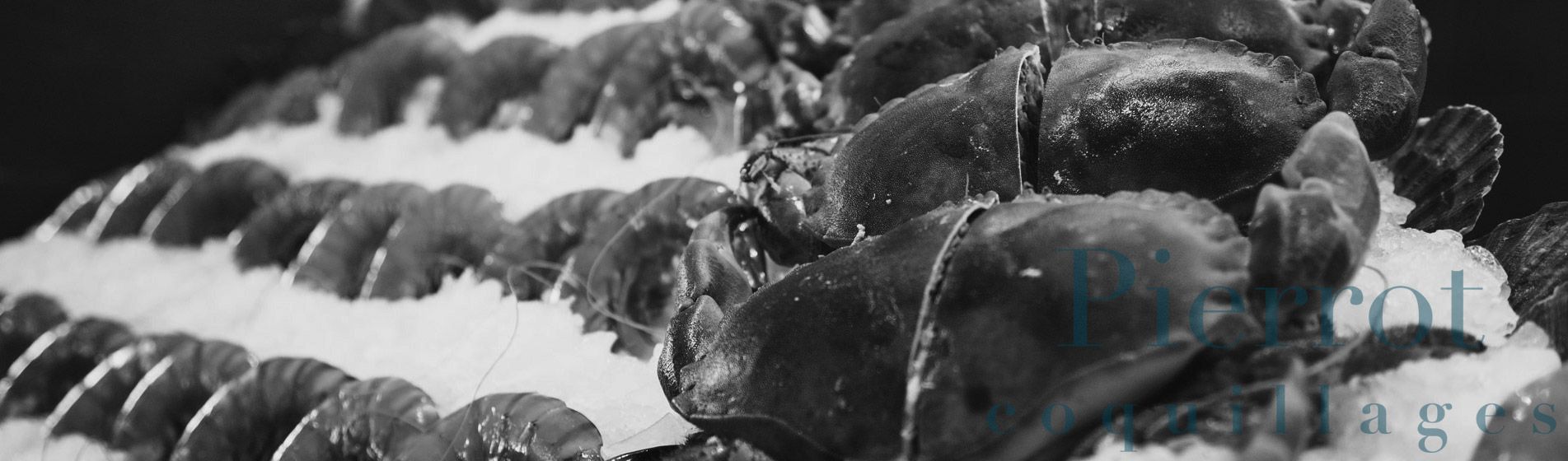 Crevette calibre 10/15 - 20/30 - 40/60