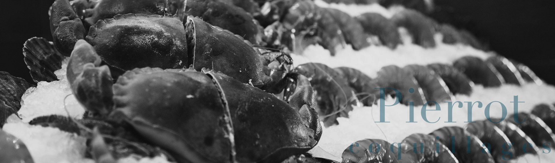 Crevette calibre 10/15 - 20/30 - 40/60 Aix-En-Provence (13080)