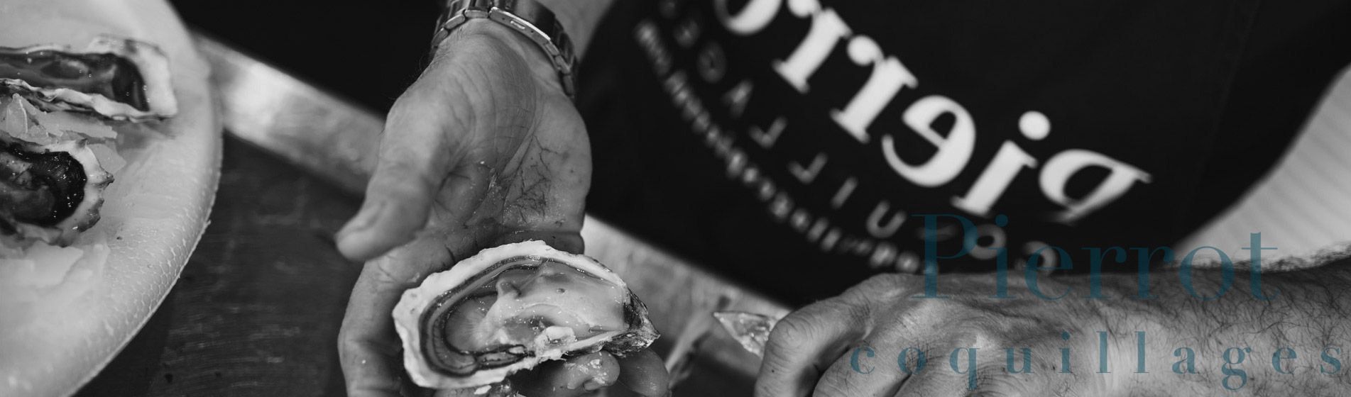 Crevette Cuges-Les-Pins (13780)