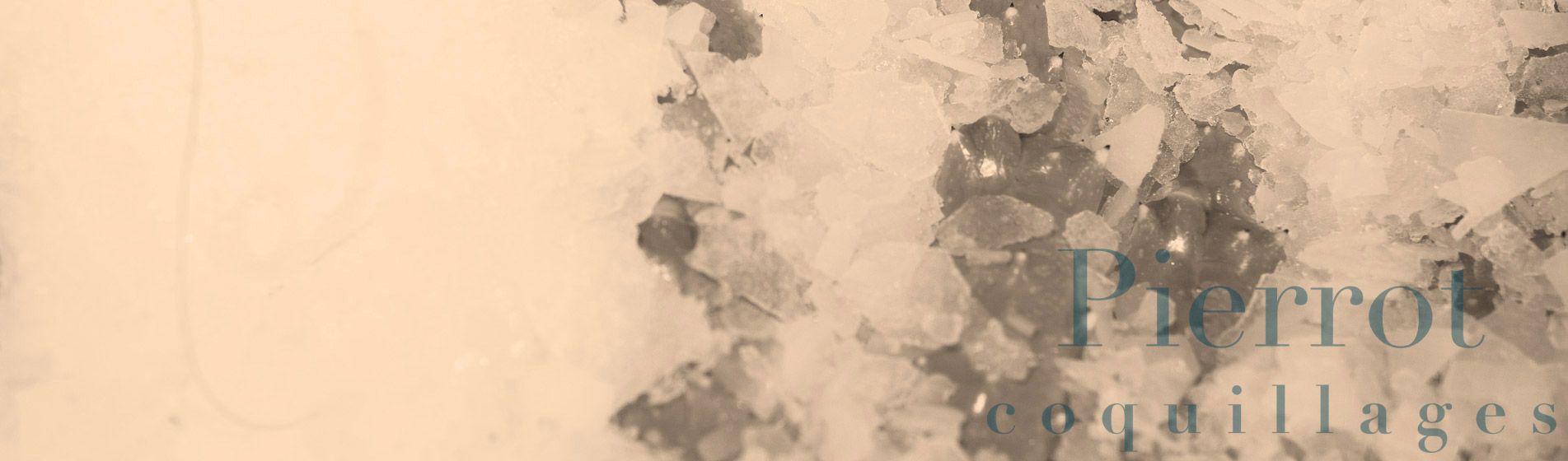 Crevette calibre 10/15 - 20/30 - 40/60