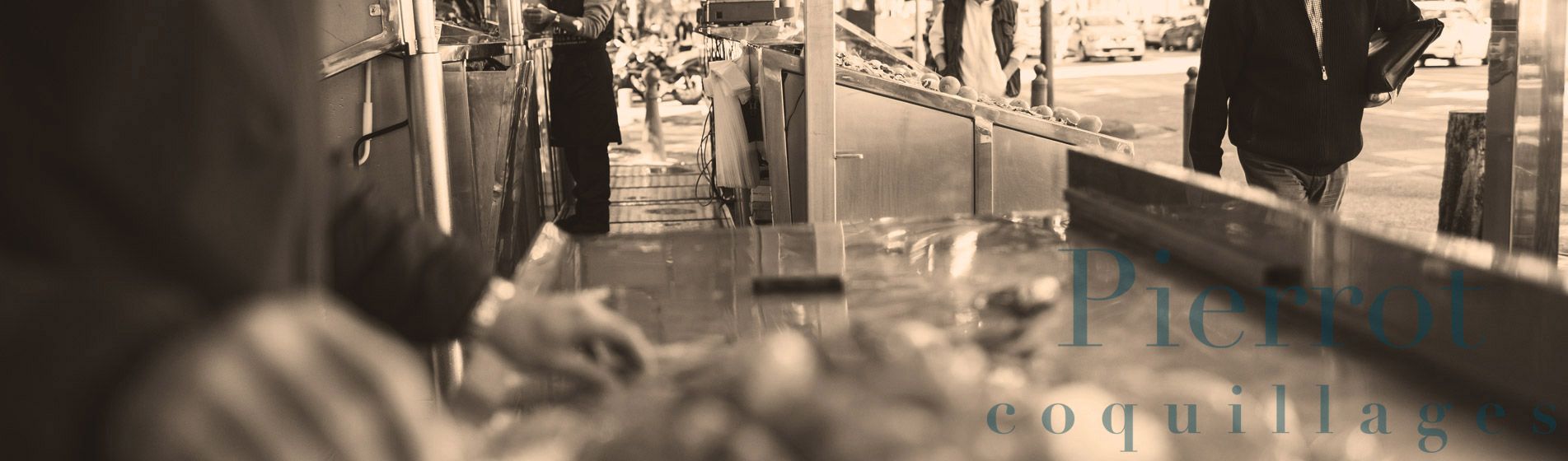 Degustation crevette grise calambo