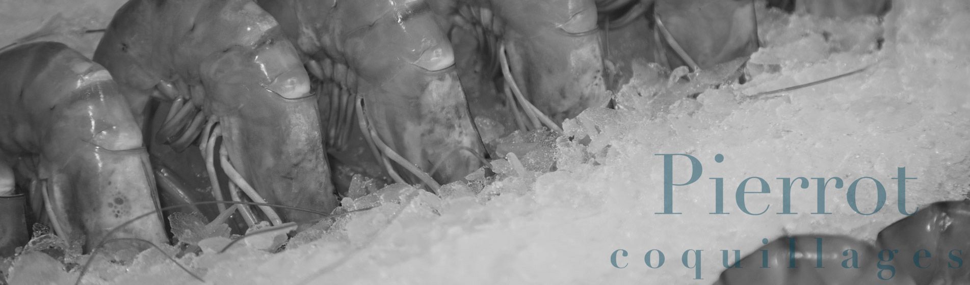 Crevette La Bouilladisse (13720)