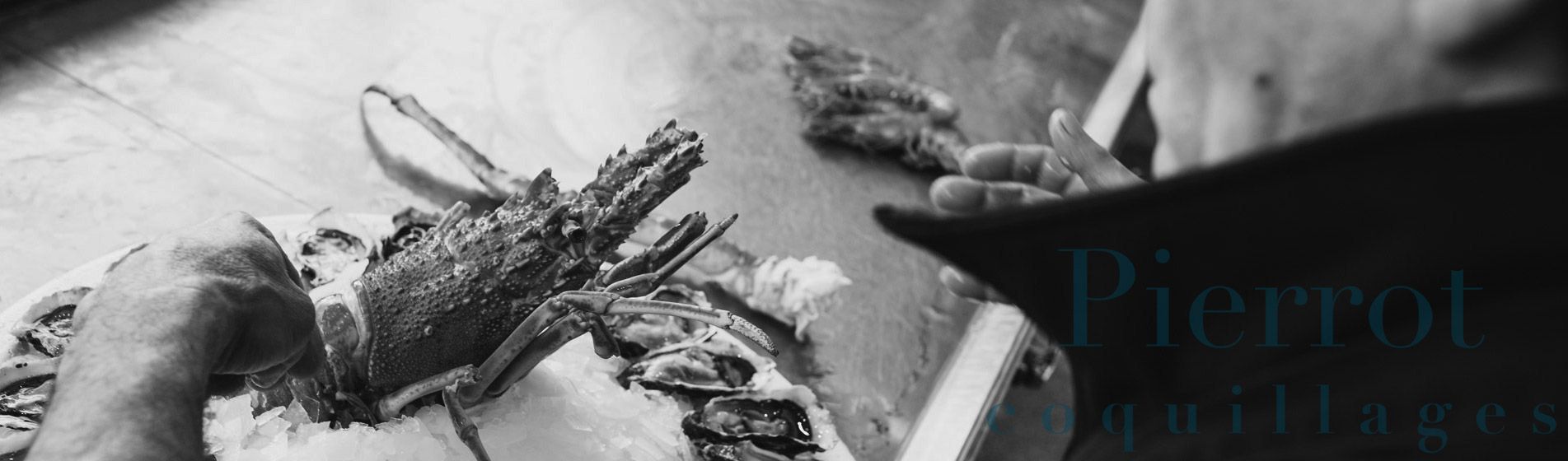 Crevette Cassis (13260)