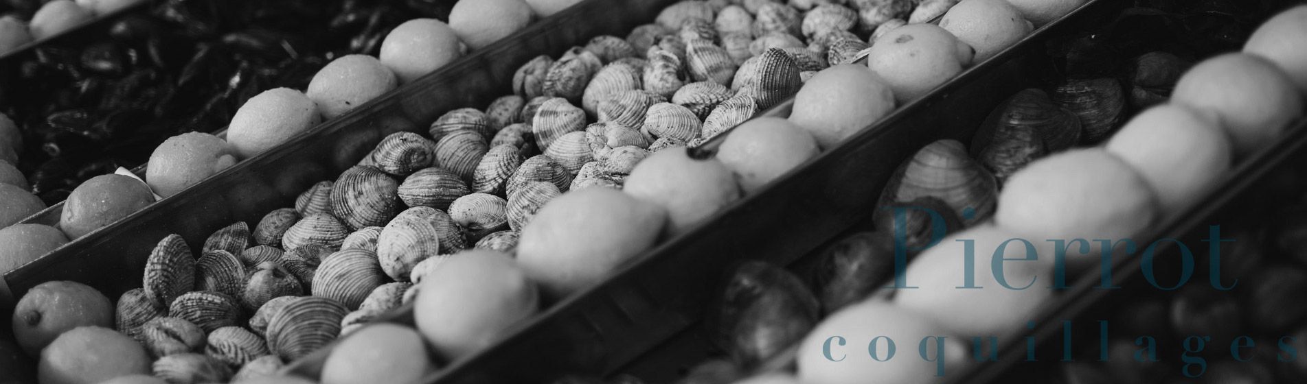 Degustation crevette grise calambo