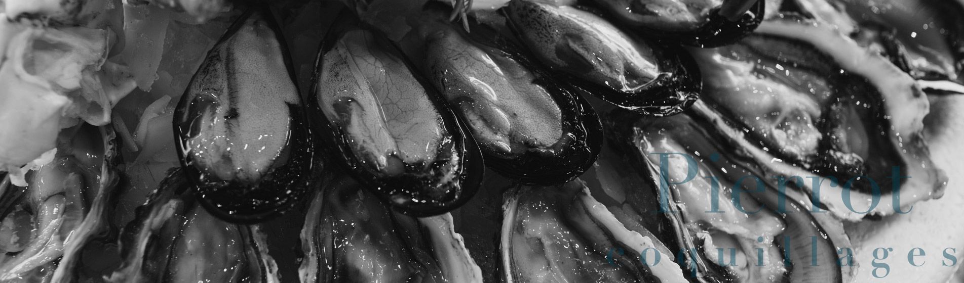 Degustation crevette grise calambo