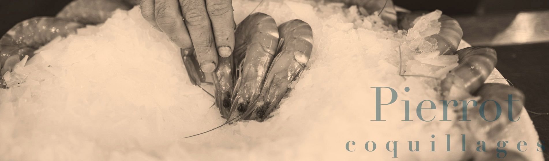 Crevette calibre 10/15 - 20/30 - 40/60