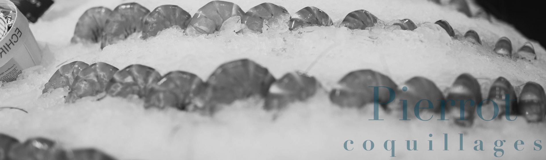 Degustation crevette grise calambo