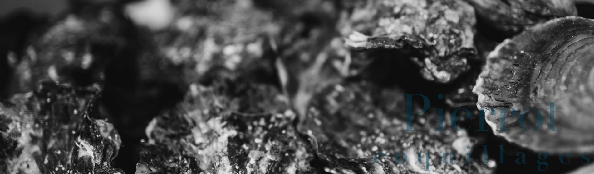 Crevette Martigues (13117)