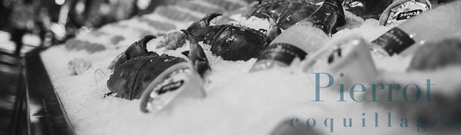 Degustation crevette grise calambo