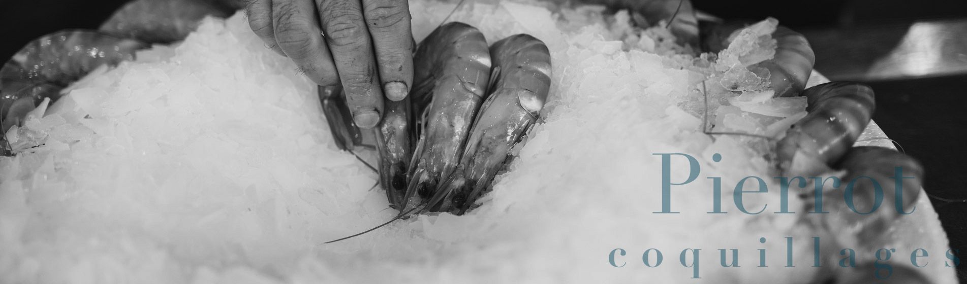 Resto crustaces Marseille (13000)