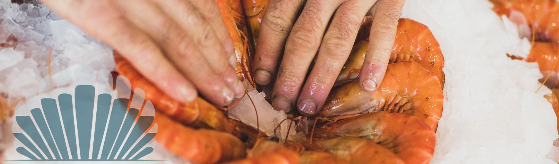 Restaurant crustaces