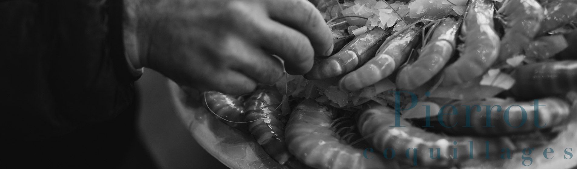 Crustaces Plan-De-Cuques (13380)