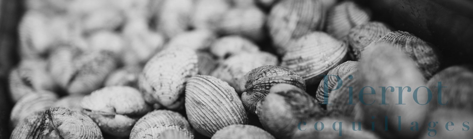 Crustaces Berre-L'Étang (13130)