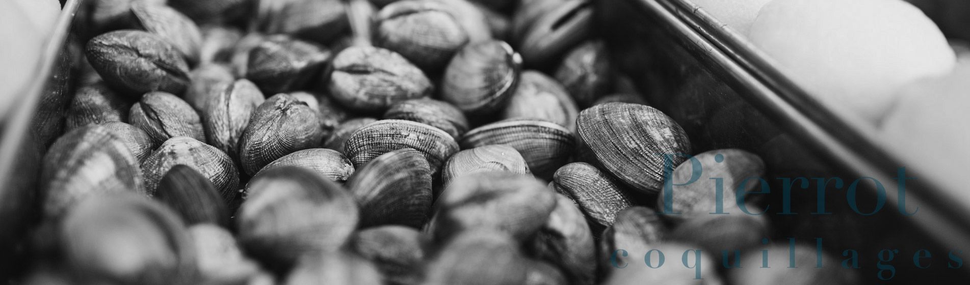 Crustaces Marseille (13000)