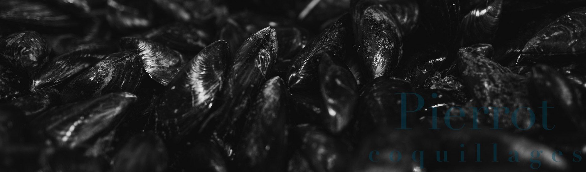 Restaurant crustaces