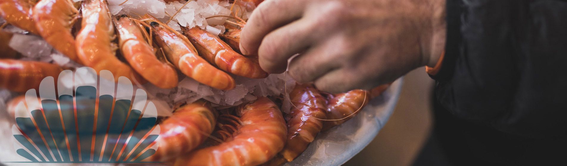 Resto crustaces