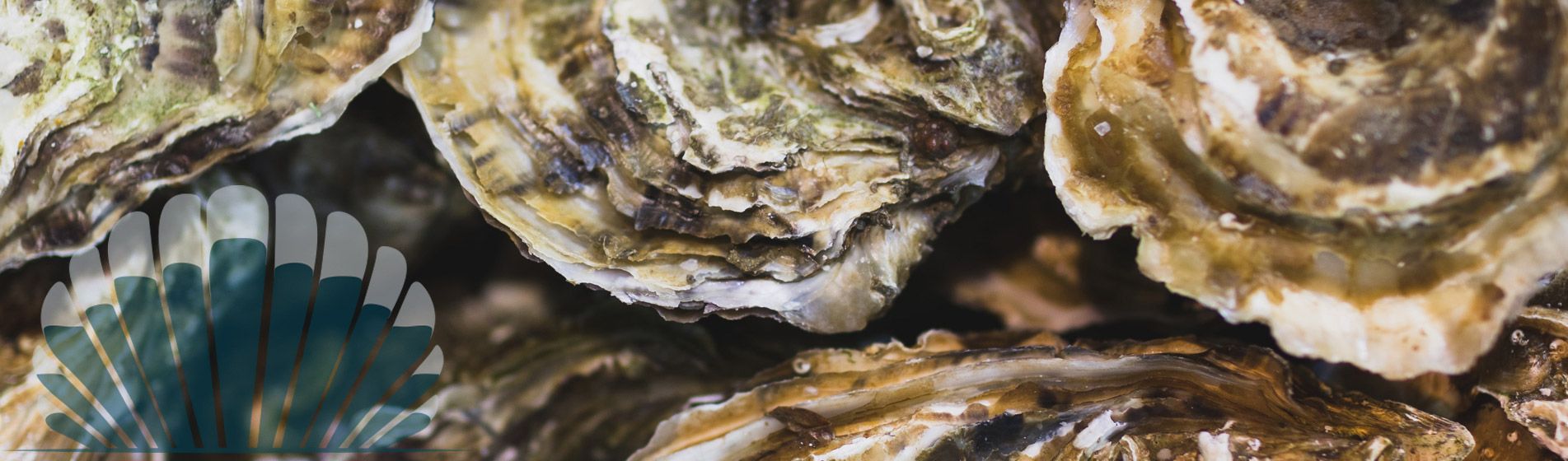 Fruit de mer La Bouilladisse (13720)