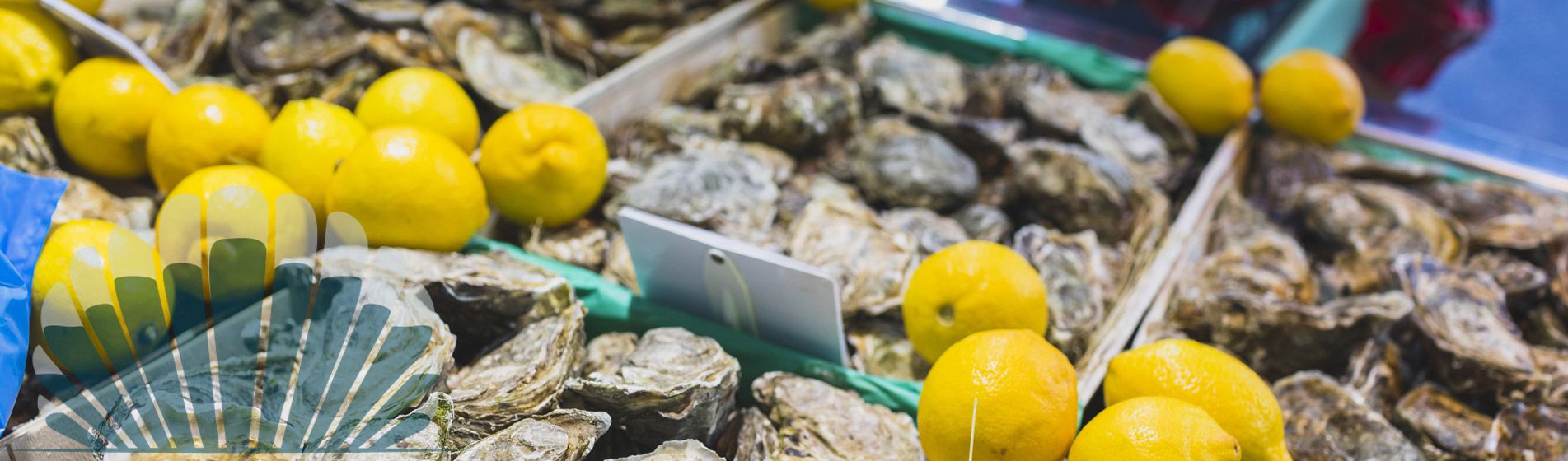 Degustation fruit de mer