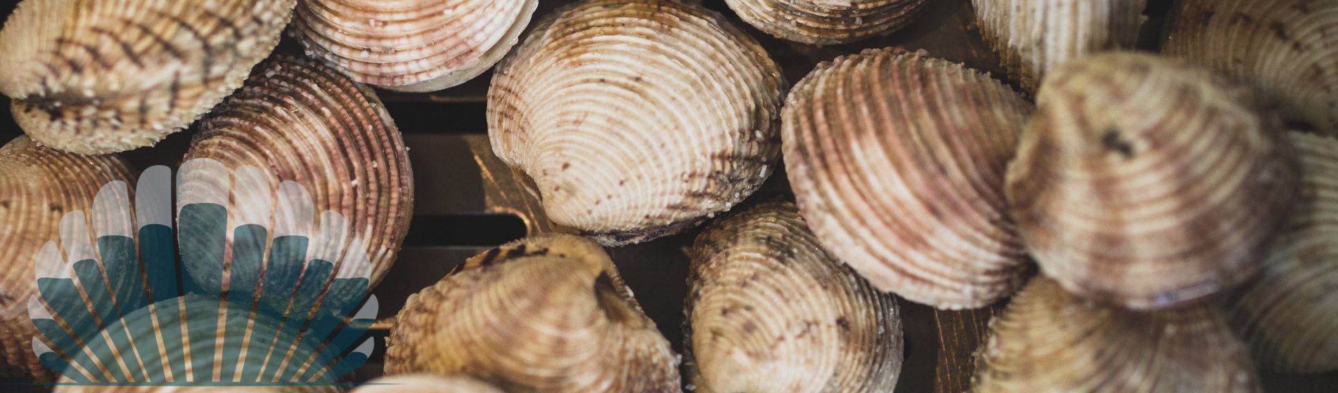 Plateau fruit de mer ouvert dimanche