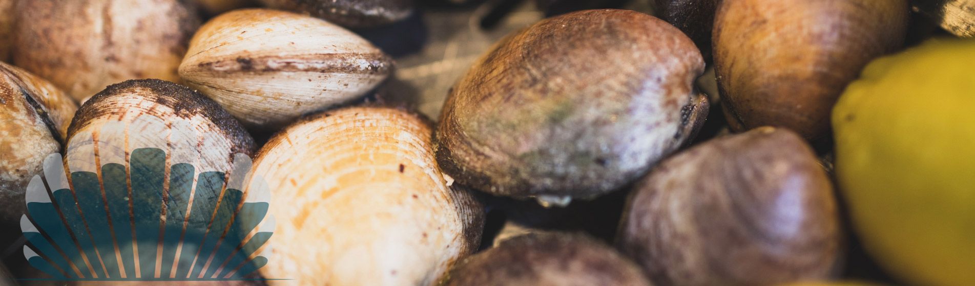 Fruit de mer proximite