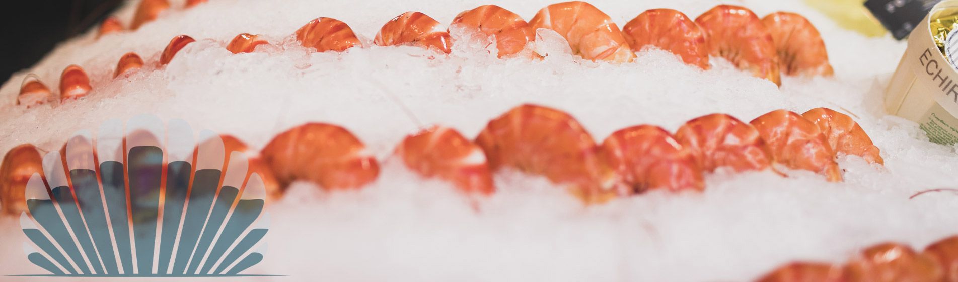 Plateau fruit de mer proximite